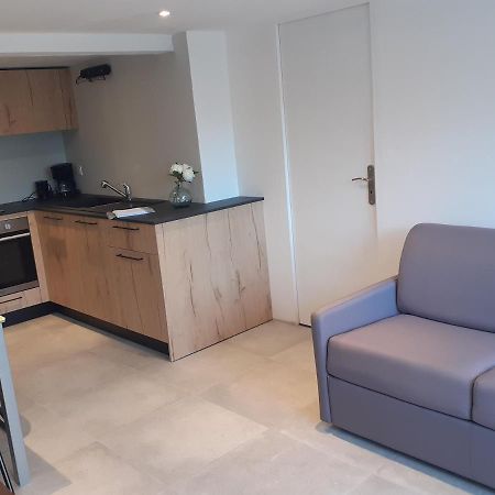 Logement Entier 4 Personnes Villefranche Sur Saone 외부 사진